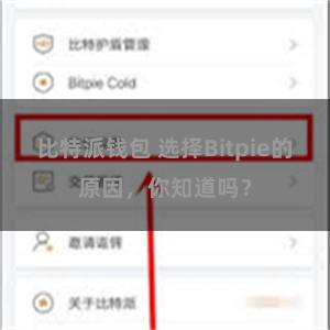 比特派钱包 选择Bitpie的原因，你知道吗？