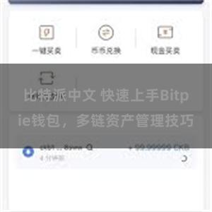 比特派中文 快速上手Bitpie钱包，多链资产管理技巧