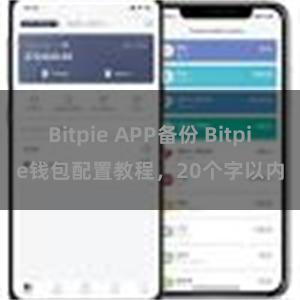 Bitpie APP备份 Bitpie钱包配置教程，20个字以内
