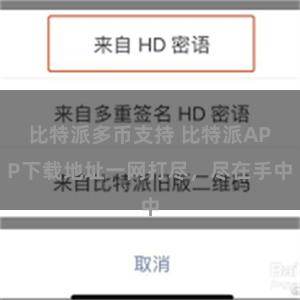 比特派多币支持 比特派APP下载地址一网打尽，尽在手中