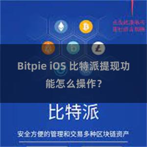 Bitpie iOS 比特派提现功能怎么操作？