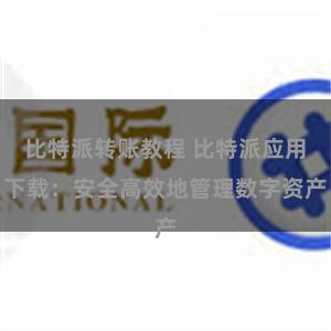 比特派转账教程 比特派应用下载：安全高效地管理数字资产