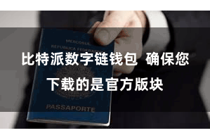 比特派数字链钱包  确保您下载的是官方版块