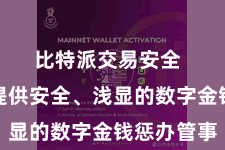 比特派交易安全  为用户提供安全、浅显的数字金钱惩办管事