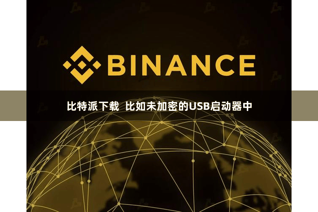 比特派下载  比如未加密的USB启动器中