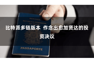 比特派多链版本  作念出愈加贤达的投资决议