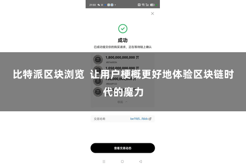 比特派区块浏览  让用户梗概更好地体验区块链时代的魔力