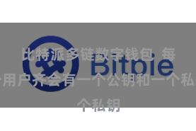 比特派多链数字钱包 每个用户齐会有一个公钥和一个私钥