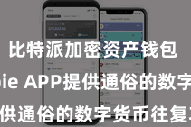 比特派加密资产钱包  Bitpie APP提供通俗的数字货币往复功能