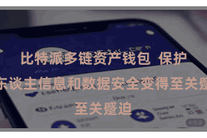 比特派多链资产钱包  保护个东谈主信息和数据安全变得至关蹙迫
