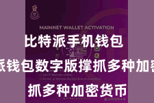 比特派手机钱包  比特派钱包数字版撑抓多种加密货币