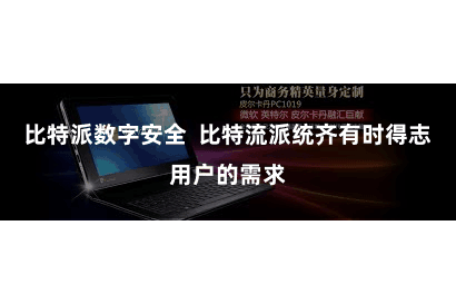 比特派数字安全  比特流派统齐有时得志用户的需求